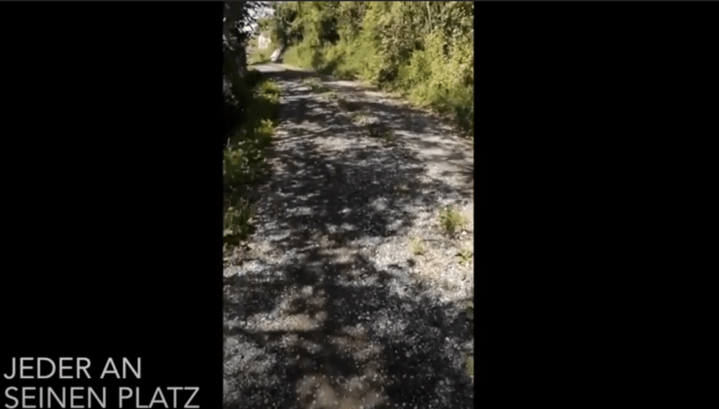 [Text+Video] Jeder an seinen Platz I +&nbsp;II