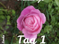 Challenge: Jeden Tag Tagebuch schreiben – Tag&nbsp;1
