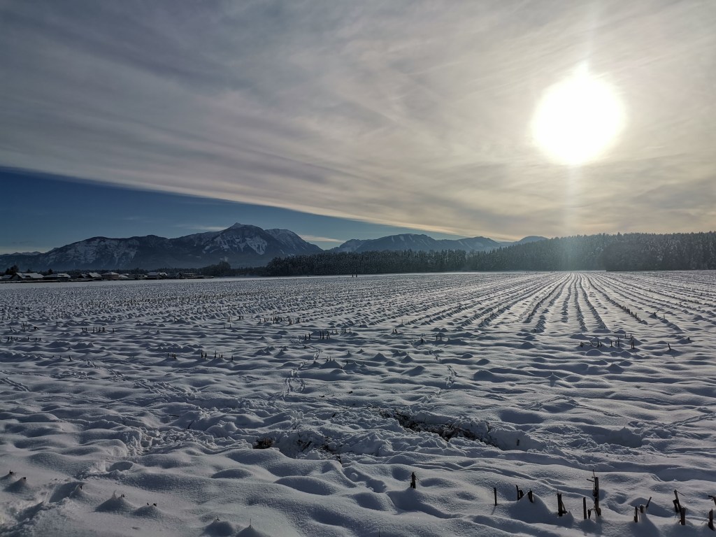 Monatsrückblick: März 2022