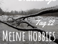 Challenge: Jeden Tag Tagebuch schreiben – Tag&nbsp;22
