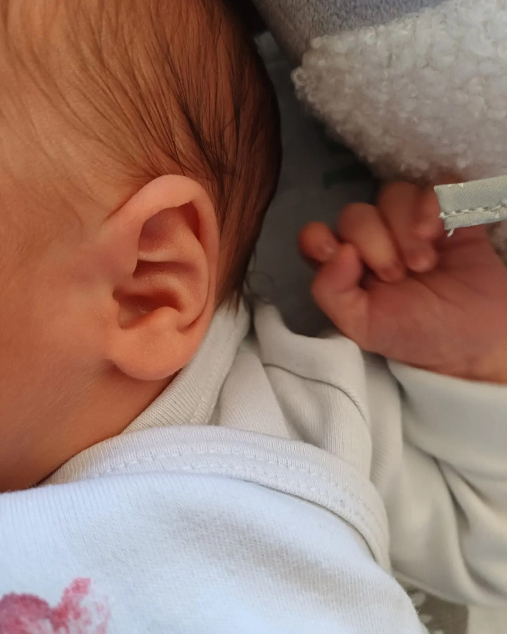 Monatsrückblick Februar