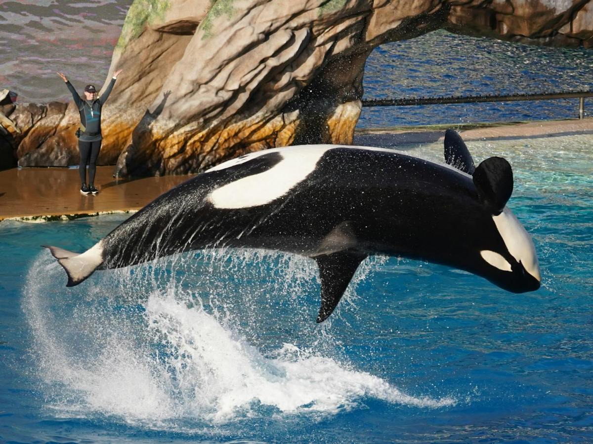 Beneath The Surface von John&nbsp;Hargrove