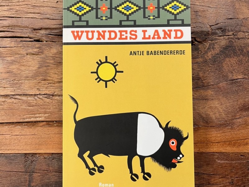 Wundes Land von Antje&nbsp;Babendererde